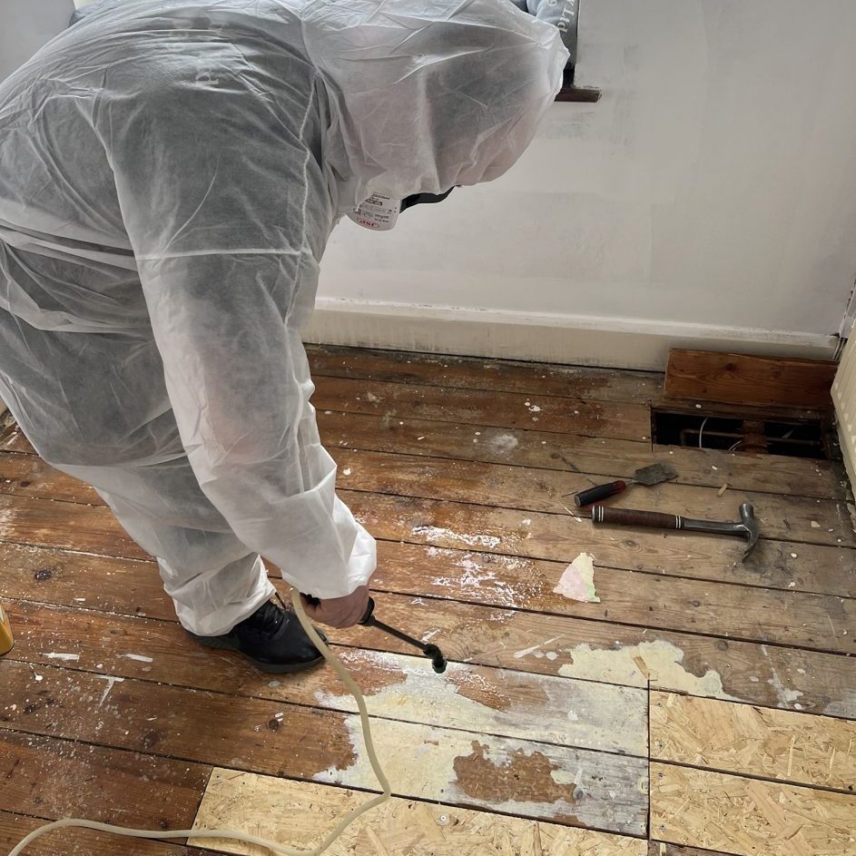 مكافحة سوس الأخشاب