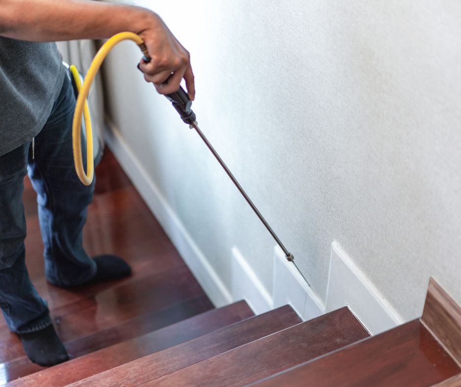 مكافحة البراغيث والعناكب